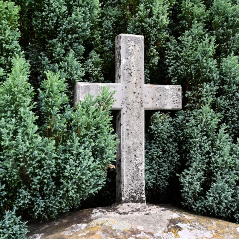 Memorial Tree - A Living Tribute